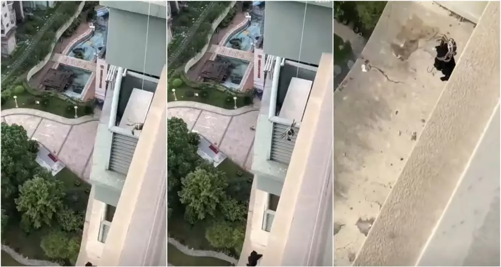 Lifehack nyeleneh ambil baju pakai kepiting Berbagai sumber