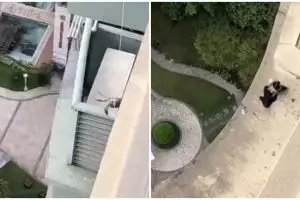 Tinggal di apartemen, lifehack nyeleneh pria pakai kepiting hidup buat ambil jemuran jatuh ini jenius