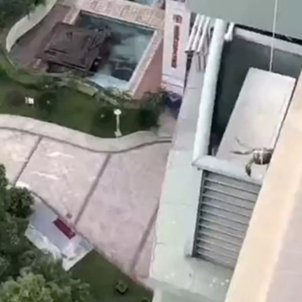 Tinggal di apartemen, lifehack nyeleneh pria pakai kepiting hidup buat ambil jemuran jatuh ini jenius