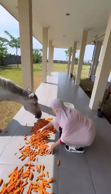 chacha frederica ubah jadi mini zoo © 2024 Instagram