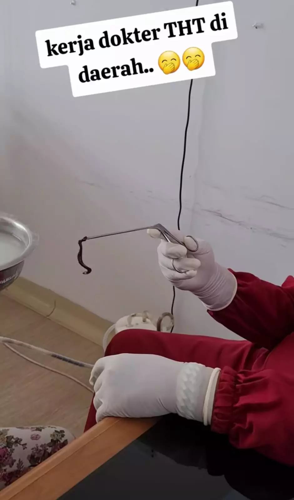 pacet masuk hidung berbagai sumber