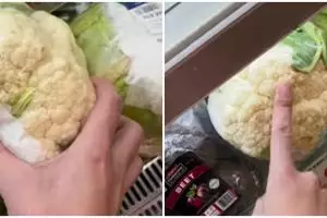 Pria temukan harga kembang kol di PIK capai Rp300 ribu per kg ini bikin syok