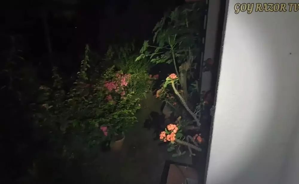 rumah lawas meriam bellina © YouTube rumah lawas meriam bellina © YouTube