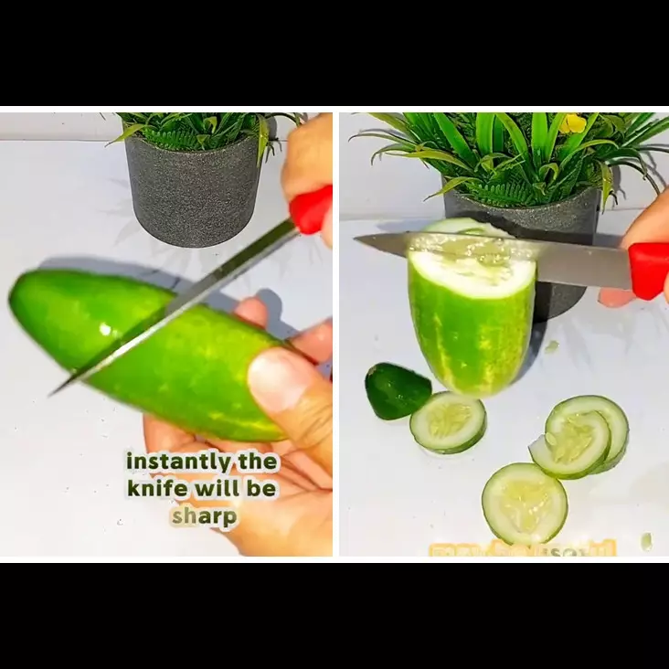 Bukan digosok batu atau amplas, ini cara asah pisau tumpul agar tajam pakai 1 alat dan bahan dapur