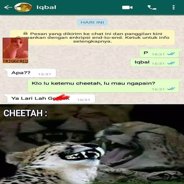 bikin naik pitam © Instagram