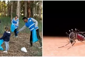 Cegah demam berdarah, ini 7 cara ampuh usir nyamuk di rumah tanpa bahan kimia