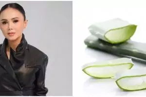 Jadi andalan Yuni Shara agar wajah awet muda, ini cara cegah kerutan pakai masker lidah buaya