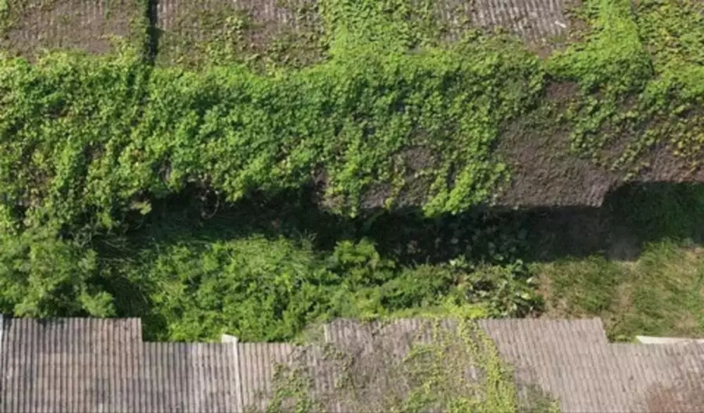 rumah subsidi kini terbengkalai © berbagai sumber rumah subsidi kini terbengkalai © berbagai sumber