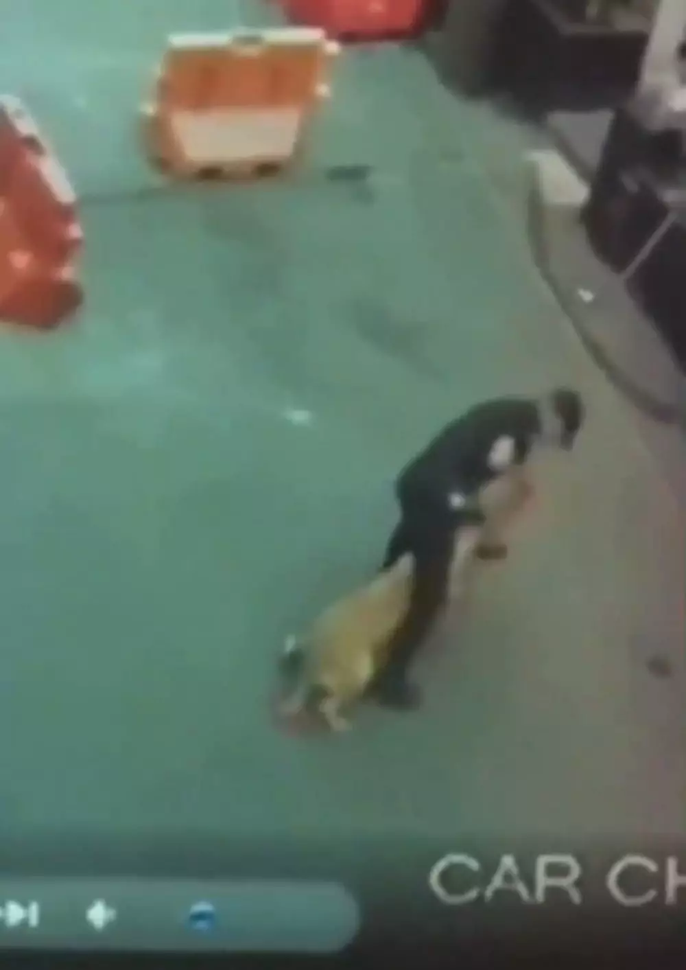 curhat teman satpam yang pukul anjing berbagai sumber