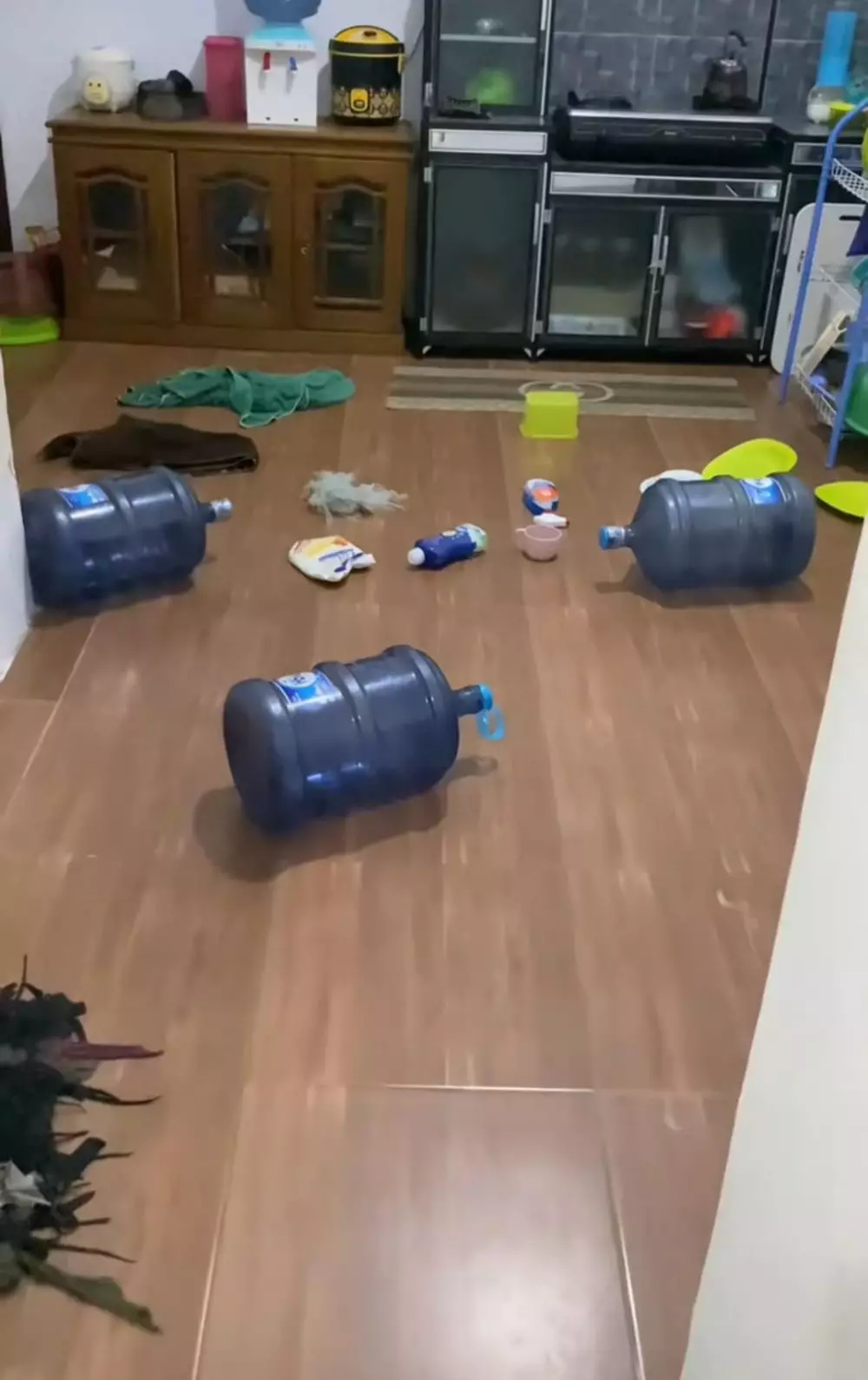 suami istri diganggu hantu © TikTok suami istri diganggu hantu © TikTok