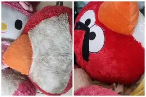 Tanpa digosok, ini cara cuci boneka dekil kecokelatan agar bersih maksimal cuma tambah 1 bahan dapur