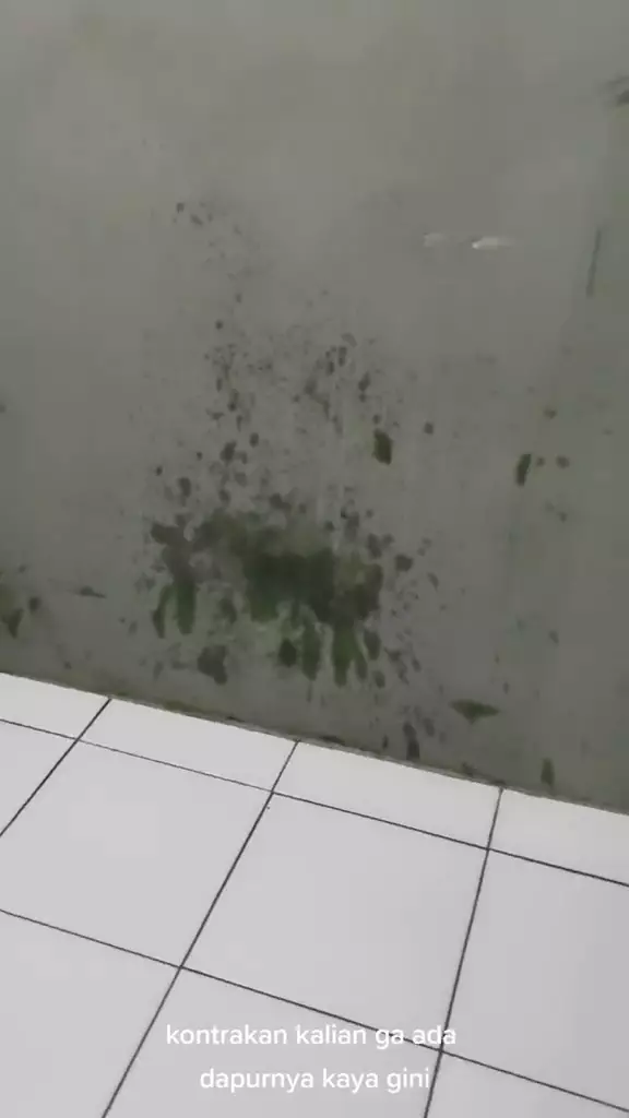 dapur di kontrakan 3 petak © 2024 TikTok