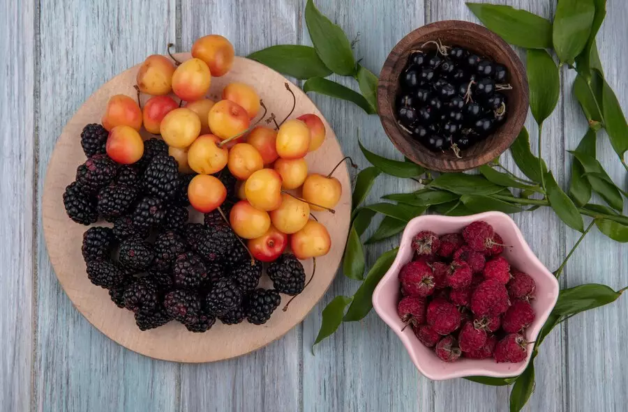 Ilmuan temukan fungsi lain viagra, ternyata dapat cegah ganguan memori otak freepik.com