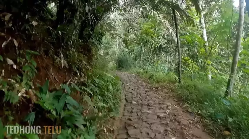 rumah suami istri pensiunan di pelosok hutan © YouTube