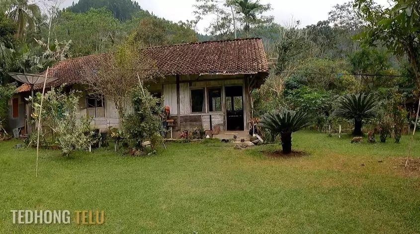 rumah suami istri pensiunan di pelosok hutan © YouTube