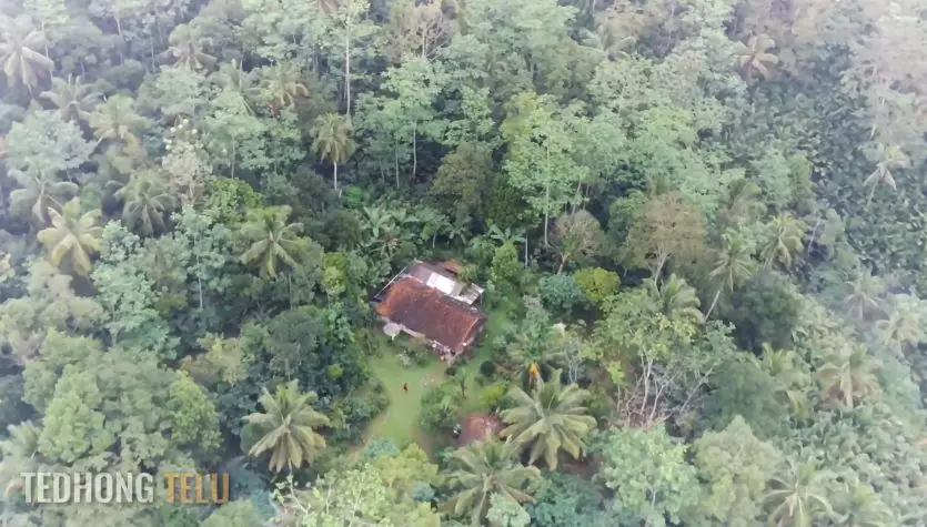 rumah suami istri pensiunan di pelosok hutan © YouTube