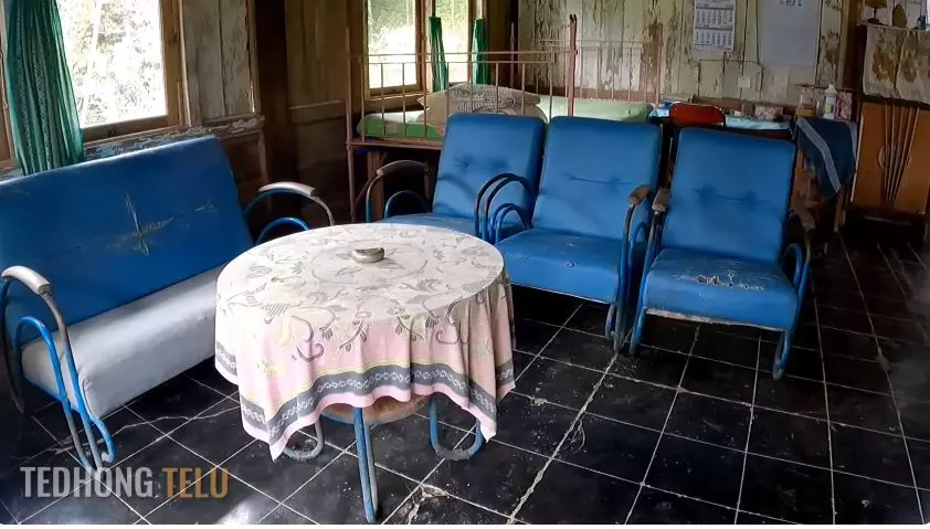 rumah suami istri pensiunan di pelosok hutan © YouTube