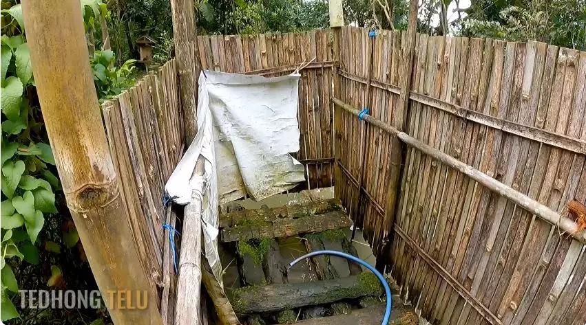 rumah suami istri pensiunan di pelosok hutan © YouTube