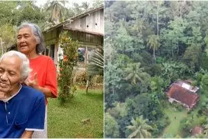 Suami-istri pensiunan PNS damai huni rumah tanpa tetangga di pelosok hutan Banjarnegara, 11 potretnya