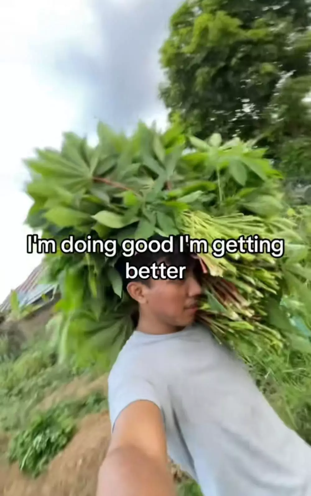 susah cari kerja jadi kang sayur © TikTok susah cari kerja jadi kang sayur © TikTok