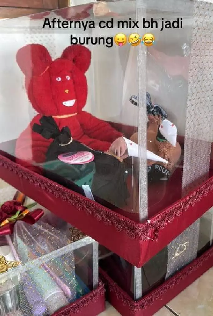 Cowok hias barang seserahan dari celana dalam TikTok Cowok hias barang seserahan dari celana dalam TikTok