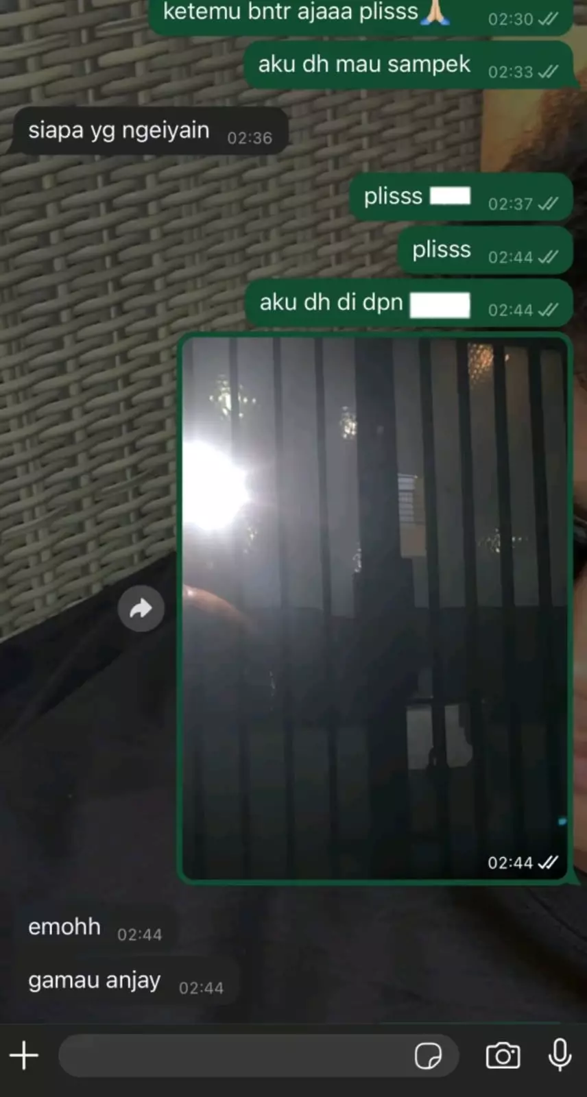 dari lombok datangi cewek jogja © TikTok