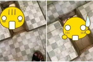 Potret nyeleneh WC kamar mandi ini menguji adrenalin, di bawahnya ada 'alat pengurai kotoran alami'