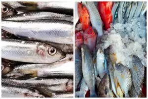 Trik cepat mengeluarkan isi perut ikan dalam 30 detik, auto hemat tenaga tak perlu pakai pisau