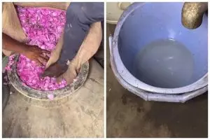 Kesannya bak air kobokan, ini 10 proses pembuatan rosewater yang bikin jijik