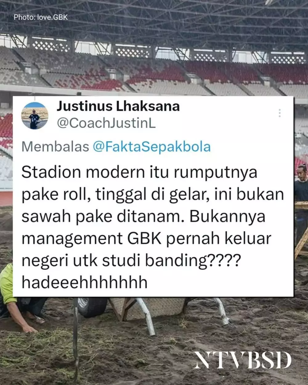 Rumput stadion GBK Berbagai sumber Rumput stadion GBK Berbagai sumber
