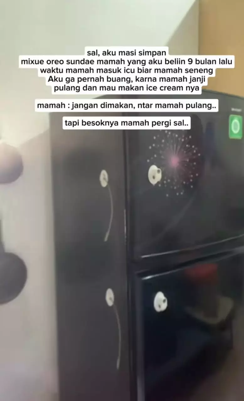 es krim ibu 9 bulan lalu © TikTok es krim ibu 9 bulan lalu © TikTok