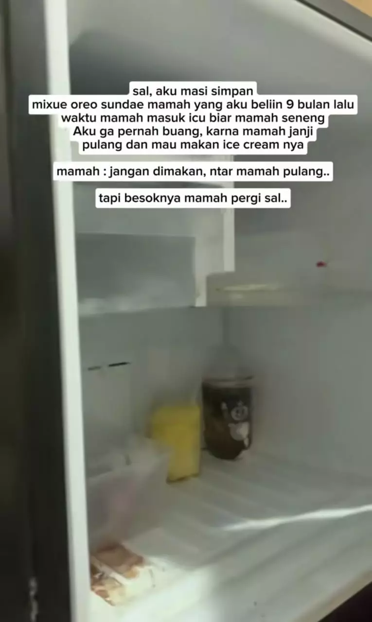 es krim ibu 9 bulan lalu © TikTok es krim ibu 9 bulan lalu © TikTok