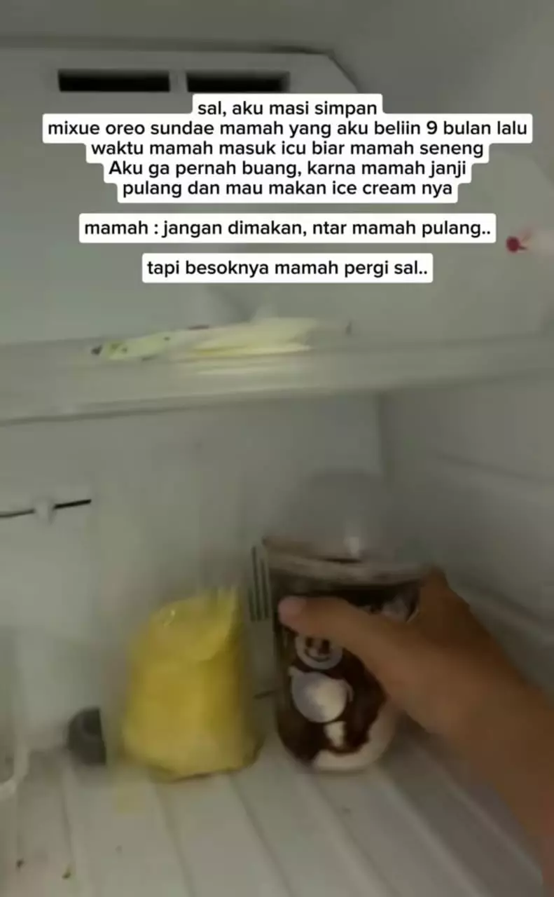 es krim ibu 9 bulan lalu © TikTok es krim ibu 9 bulan lalu © TikTok