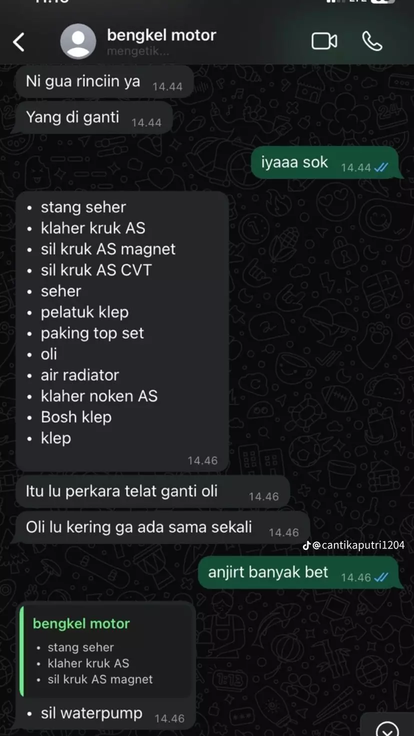 gara gara pilih skincare dibanding ganti oli © TikTok