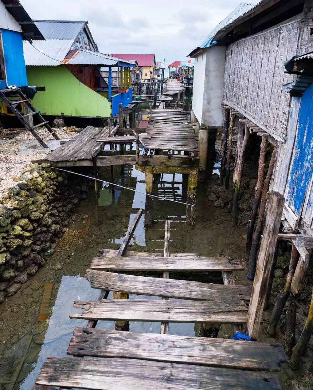 tanggapan kepala desa bule denmark berbagai sumber