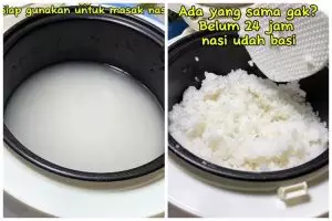 Trik mencegah nasi cepat basi dalam rice cooker pakai 1 bahan dapur, tak perlu ditambah minyak