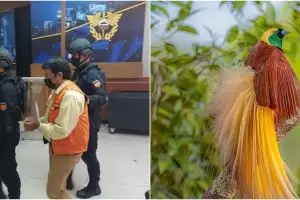 Diduga selundupkan Cendrawasih, aktor Bollywood ditangkap Bea Cukai saat ingin terbang ke India