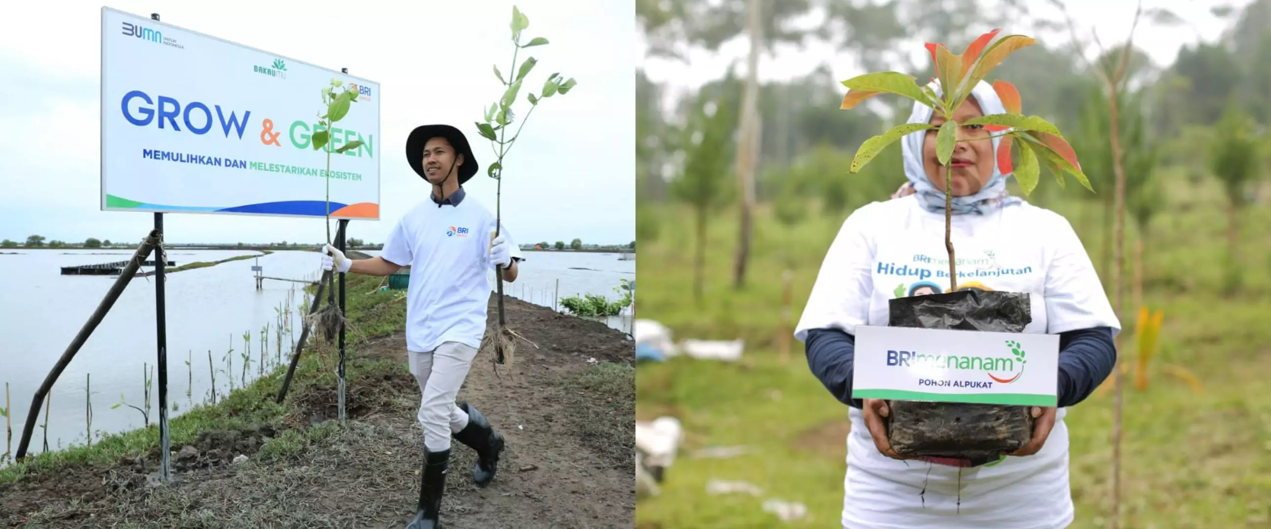 Pengelolaan risiko ESG kuat, rating sustainalytics BRI terus membaik