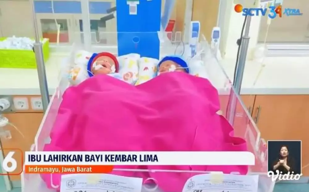 Ibu di Indramayu lahirkan bayi kembar lima Berbagai sumber Ibu di Indramayu lahirkan bayi kembar lima Berbagai sumber