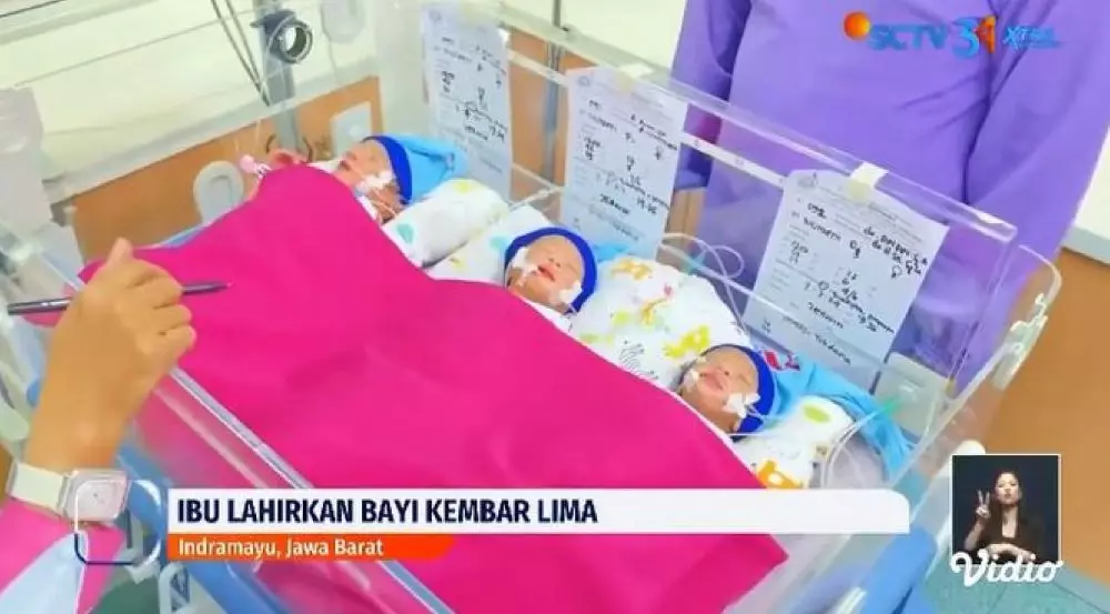 Ibu di Indramayu lahirkan bayi kembar lima Berbagai sumber Ibu di Indramayu lahirkan bayi kembar lima Berbagai sumber