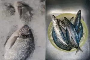 Trik cairkan daging ikan beku tanpa direndam air panas, kualitas rasa terjaga