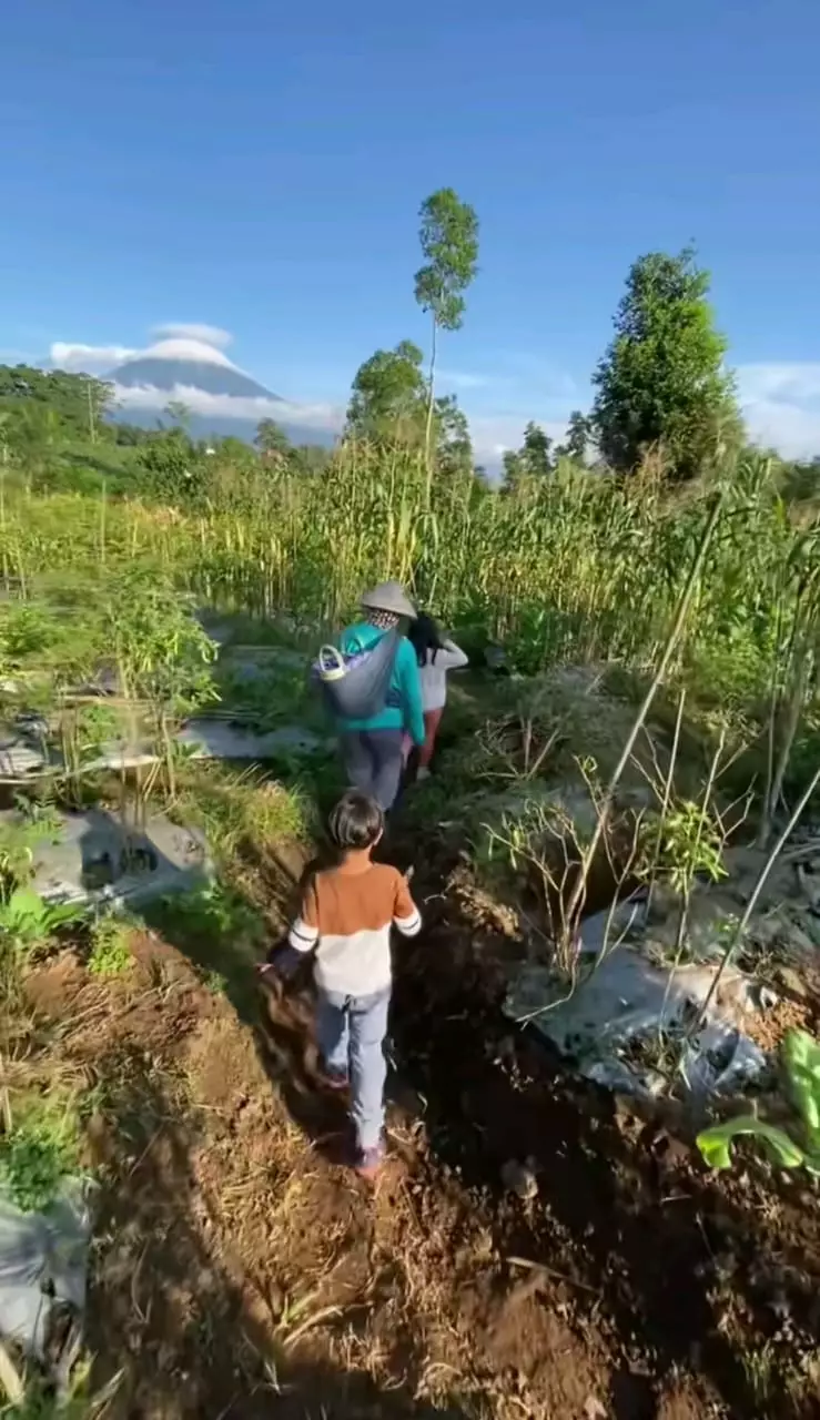kisah pria buktikan bisa kuliah sampai S3 di Australia © TikTok kisah pria buktikan bisa kuliah sampai S3 di Australia © TikTok