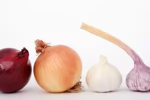 [KUIS] Benar atau salah deretan makanan ini bikin badan kamu bau? Uji wawasanmu di sini