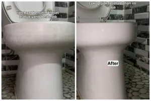 Tanpa racikan bahan khusus, ini trik bersihkan kerak hitam di kloset cuma pakai 1 bahan dapur