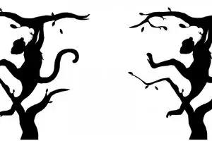 [KUIS] Gambar yang pertama kali kamu lihat tunjukkan kekuatan pikiranmu