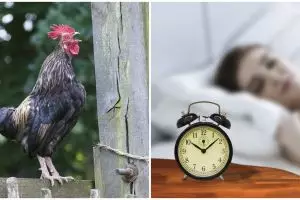 [KUIS] Ternyata telat bangun pagi bisa ungkap kepercayaan dirimu, hayo seberapa siang kamu bangun?