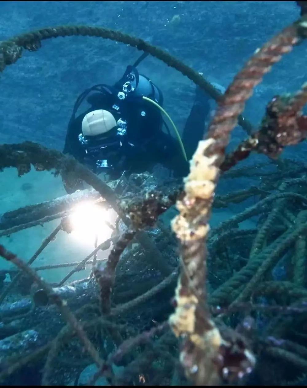 Pria ini rela menyelam 600 kali demi cari jasad istri © TikTok Pria ini rela menyelam 600 kali demi cari jasad istri © TikTok