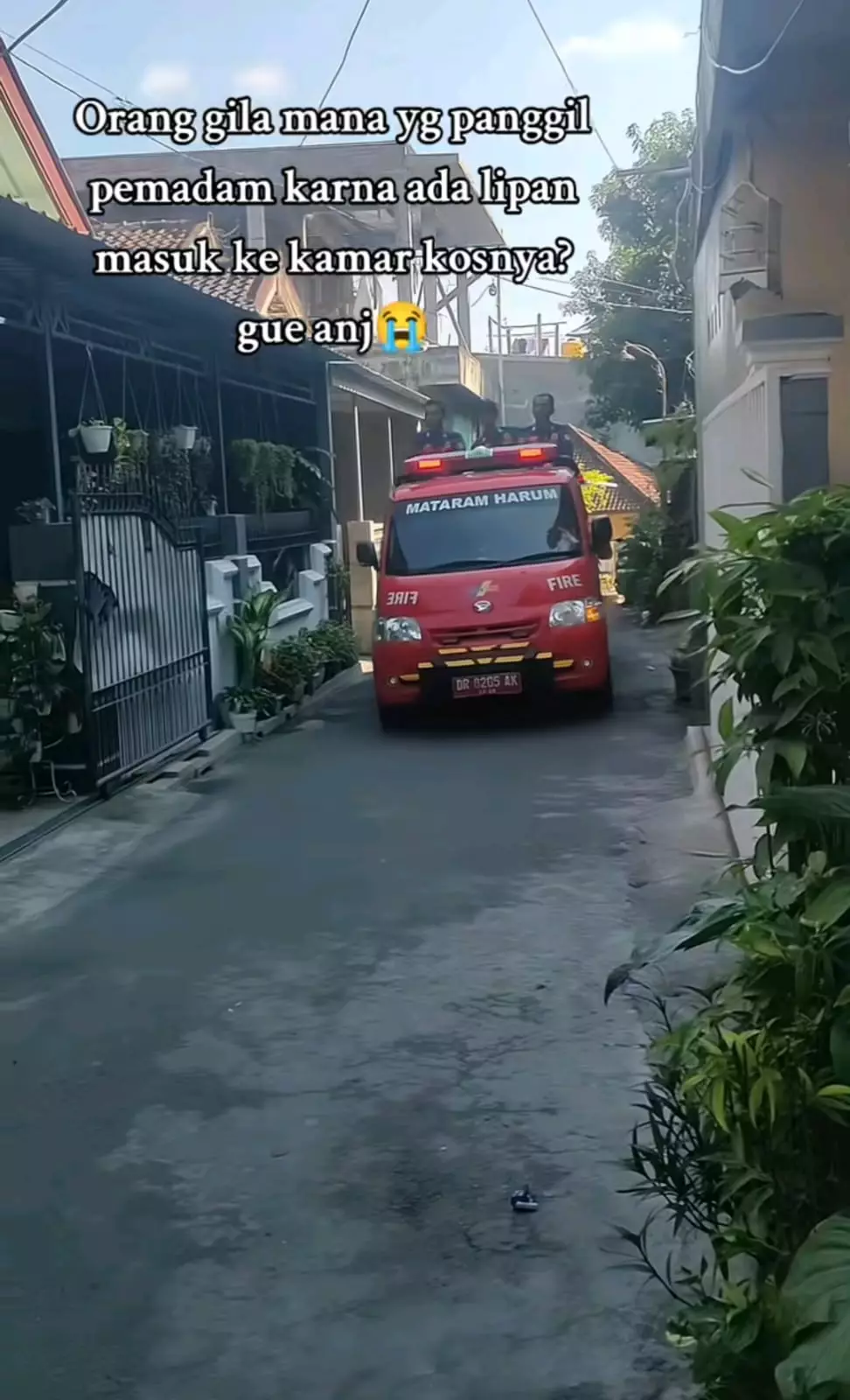 wanita hubungi Damkar karena lipan © TikTok