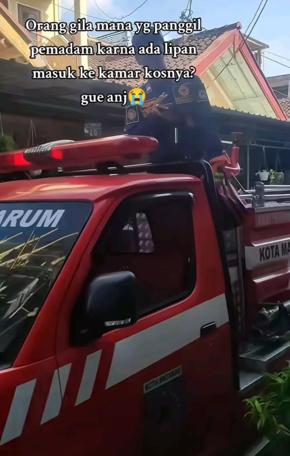 wanita hubungi Damkar karena lipan © TikTok