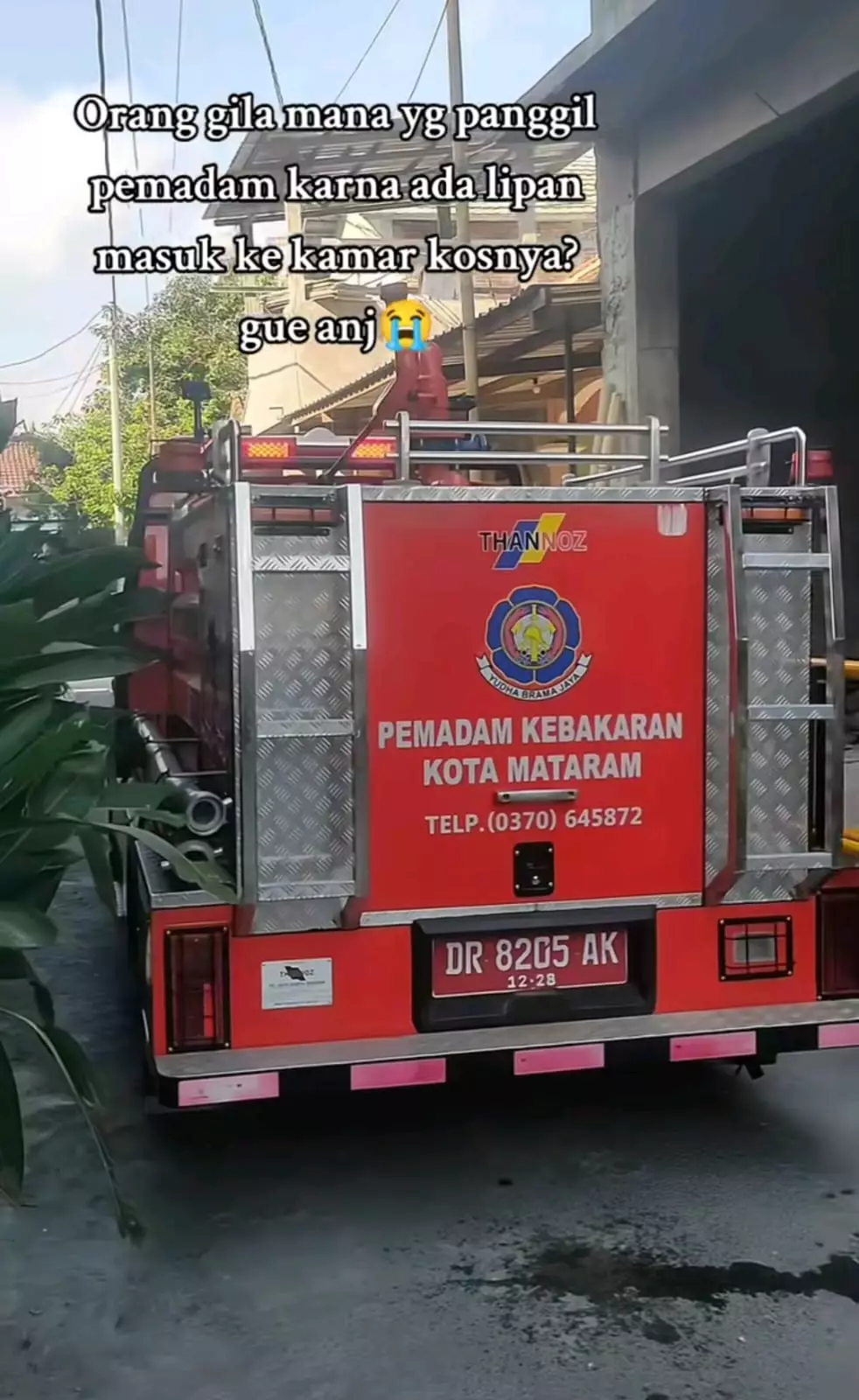 wanita hubungi Damkar karena lipan © TikTok